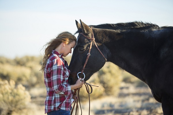 horse-love