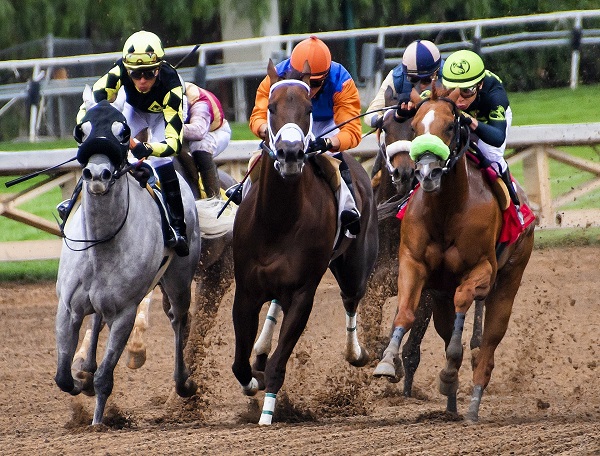 horse-racing