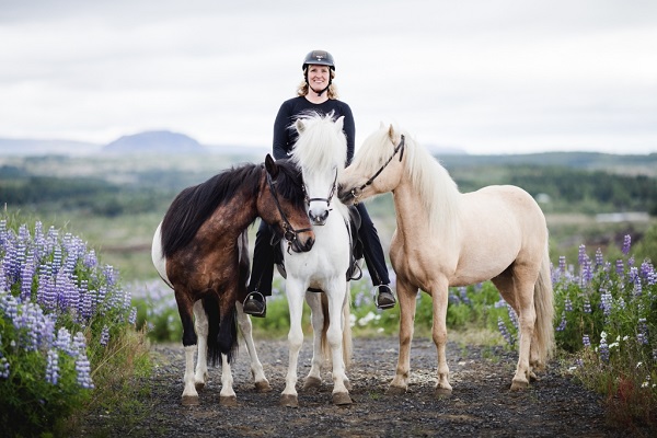 icelandic-horse